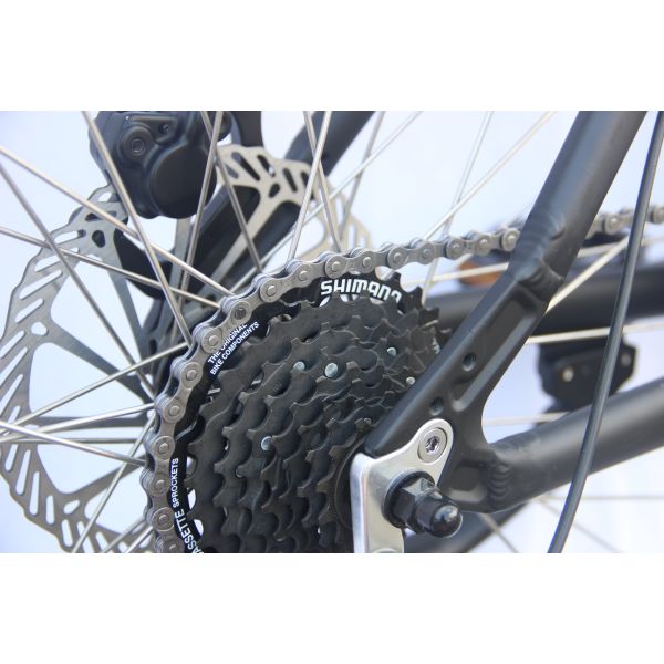 350w Portable Folding Electric Bike Hub Motor E Bike With Removable Battery 36V 10Ah