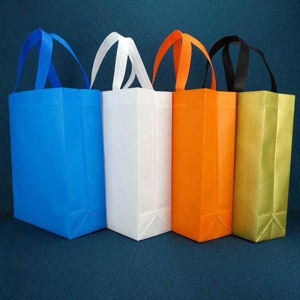 Eco Friendly PP Non Woven Shopping Bags 125gsm Non Woven Shoe Bag