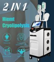 Corps de SME Cryolipolysis sculptant la machine 2 dans 1 pour le gros contournement de corps de retrait