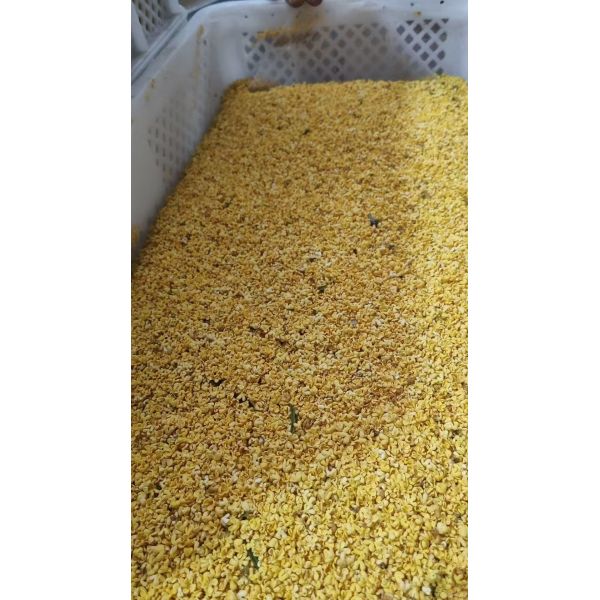 Best Quality Factory Supply Bulk Dried Osmanthus Fragrans Flower for Drinking