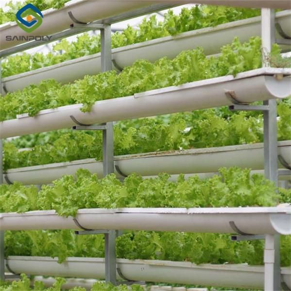 Sainpoly Commercial Hydroponic Greenhouse For Plant Growing Lettuce