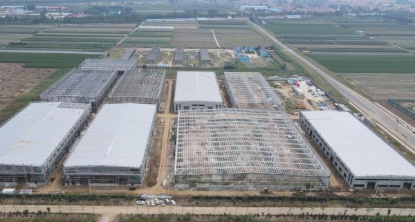 Prefab Light Framing Steel Structure Construction Building Factory Workshop
