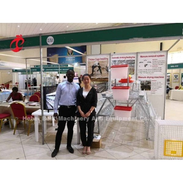 Deluxe 120 Birds Poultry Battery Cage System 5 Cells Galvanized Doris