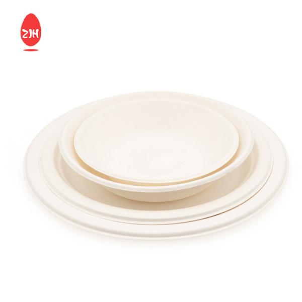 245mm Disposable Food Packaging Containers FSC Environmental Protection Tableware