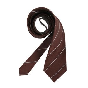 Polyester ties Collection