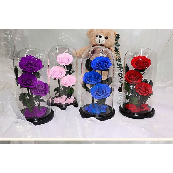 beauty and the beast roses preserved roses in glass dome rose for lover's gift