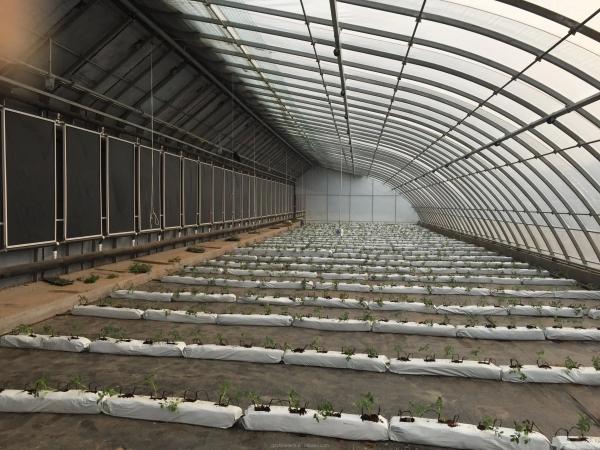 Easy Assembled Solar Greenhouse for Cold Winter Climates PE Material and PE Material