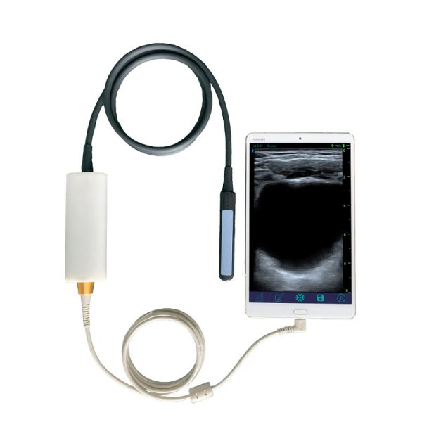 Handheld Veterinary Ultrasound Scanner with Linear Rectal Probe for Bovine & Equine Reproduction