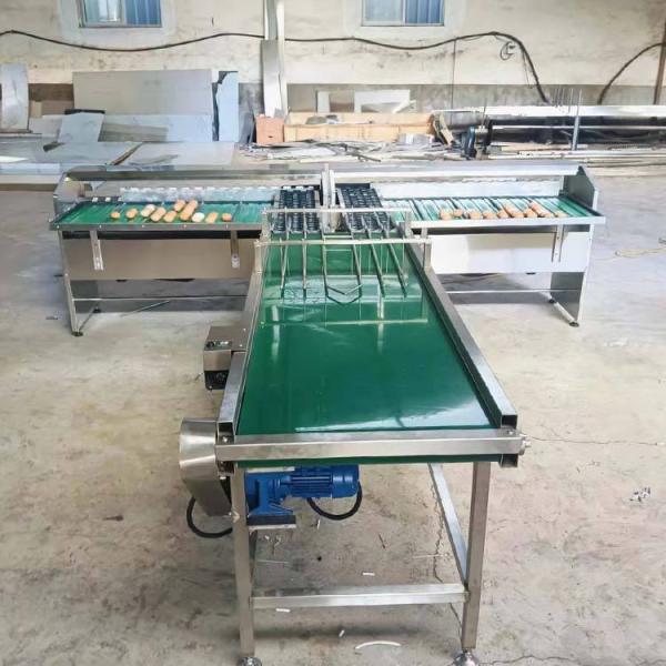 Automatic Egg Sort Grade Weighing And Sorting Egg Machine Egg Grading Process Line Scale Grader Mini Sorter Egg Machine Commercial Egg Sorting Machine Automatic Egg Grading and Packing System
