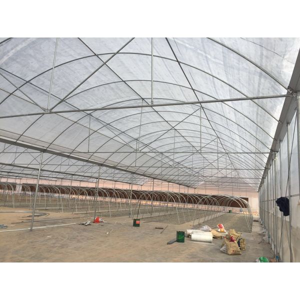 Túnel del invernadero del Multi-palmo alto invernadero de la película de polietileno de 200 micrones