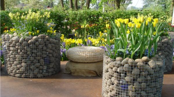 Electro Galvanized Welded Wire Mesh Roll for Aviary Mesh and Chicken Coop Direct Supply