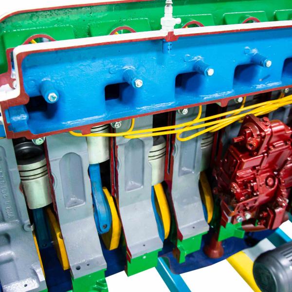 Anatomical Educational Model Of Marine Six Cylinder Engine