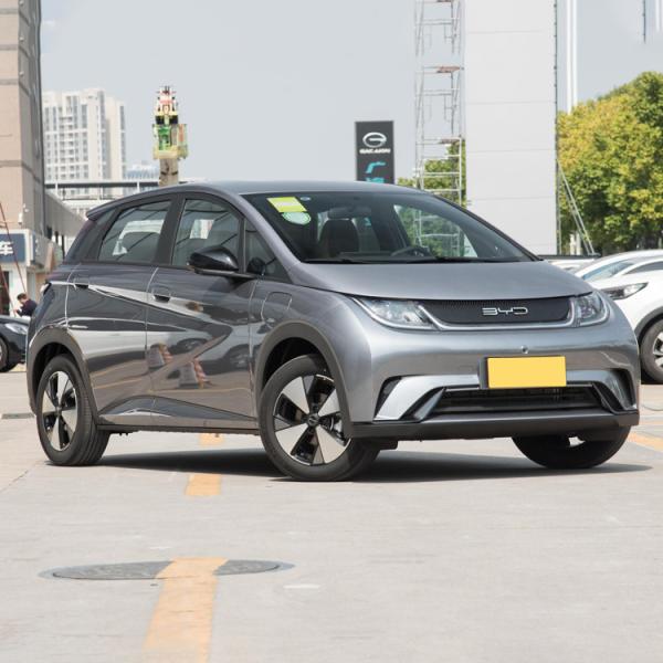 AWD BYD Dolphins EV All Electric Vehicle PHEV Custom