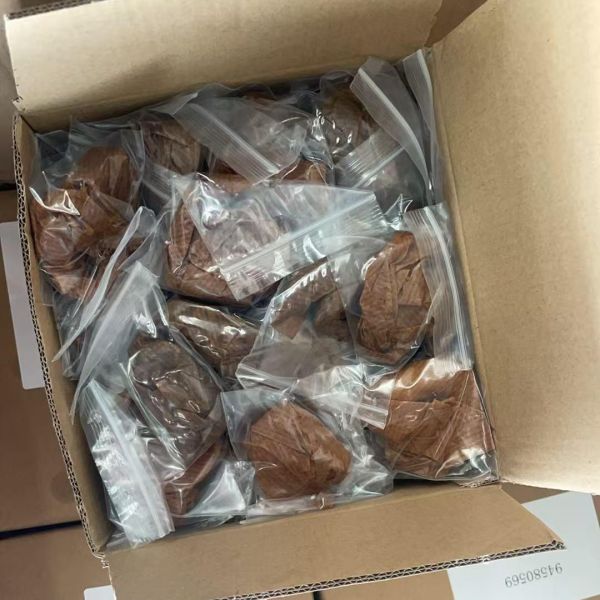 Brand New 94580569 90136113 0638501 Engine Oil Filter Bypass Valve for CHEVROLET Aveo Optra Spark Lacetti