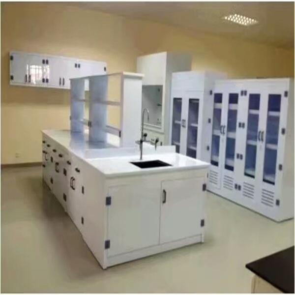 Modern Chemistry Lab Furniture Acceptable OEM/ODM and Export Plywood