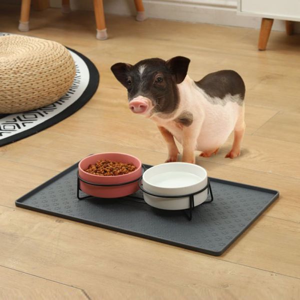 Waterproof Non-Stick Pet Bowl Mat with Custom Printing Compression Molding Technology