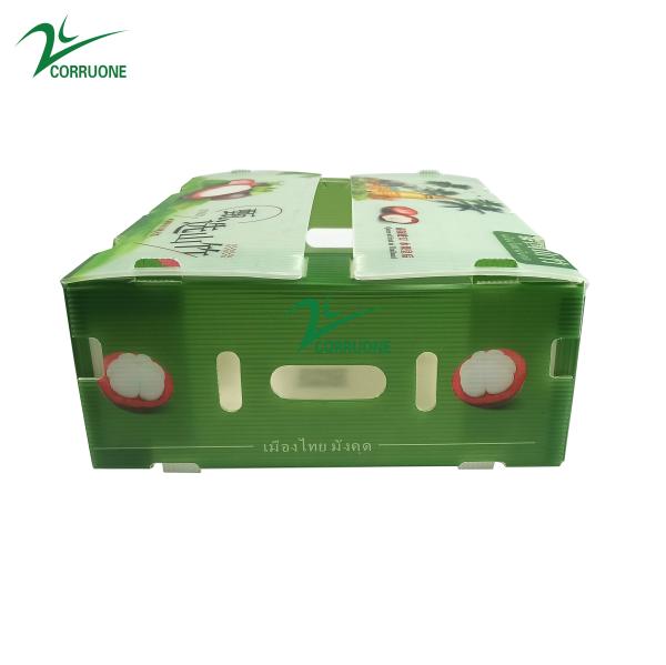 PP Corrugated Plastic BOX for Vegetable and Fruit Box Corflute correx Corn broccoli and Agriculture Packing boxes