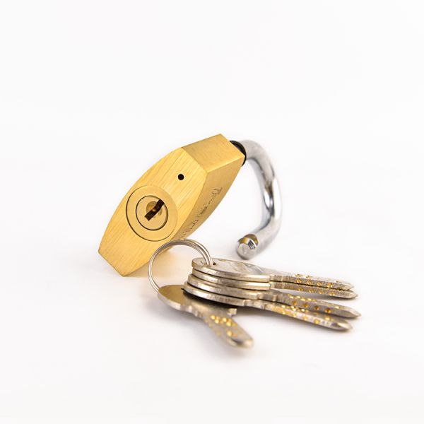 Rarlux Waterproof Ring Solid Padlock High Quality Candado Security Brass Padlock in Bulk 40 50 60 70mm