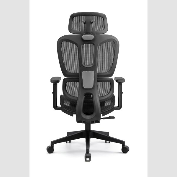 Ergonomic Office Executive Chair with Adjustable Lumbar Support Breathable Mesh Back and Comfortable Seat for Long Hours