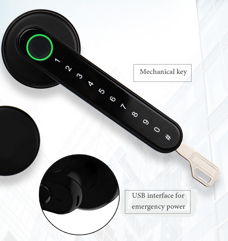 TT Lock APP Fingerprint Lock Bluetooth Smart Lock Digital Electronic Lock Keyless Door Lock Handle Цинковая черная ручка
