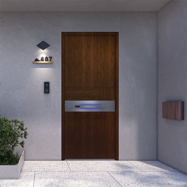 Modern Villa Main Entrance Door Burglar Proof Steel Luxury Security Door Manual Opening