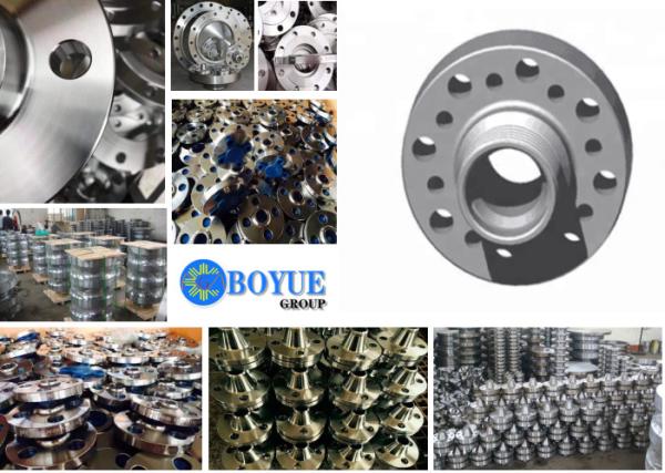 WN SW BL SO Duplex Stainless WN Steel Flange ASTM A182 F51 F53 F55 F44 F904L