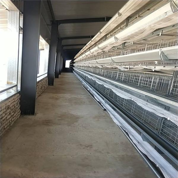 Prefab Lightweight Steel Building for Poultry Farm Building