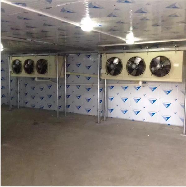 Electric Defrosting Cold Store Room For Fruit And Vegetables With Volume Of 800 Tons