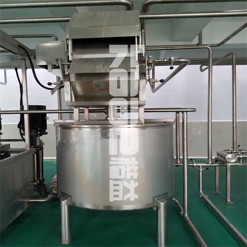 Automatic Berry Juicer Machine Citrus Berries  Processing Washer Vegetable Washing Machine