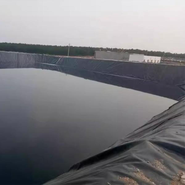 Géomembrane à doubles surfaces lisses pour l'emballage et la protection des barrages de crevettes de poisson