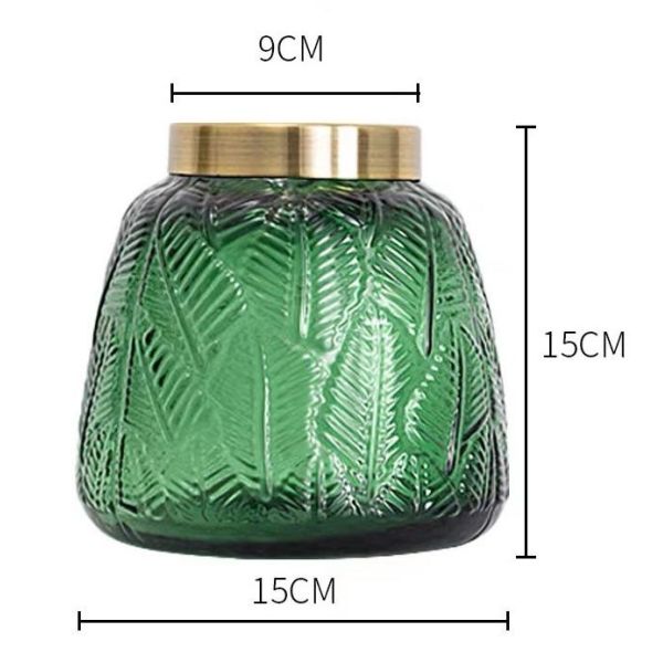 Зеленый прозрачный гидропонический стеклянный ваза для дома