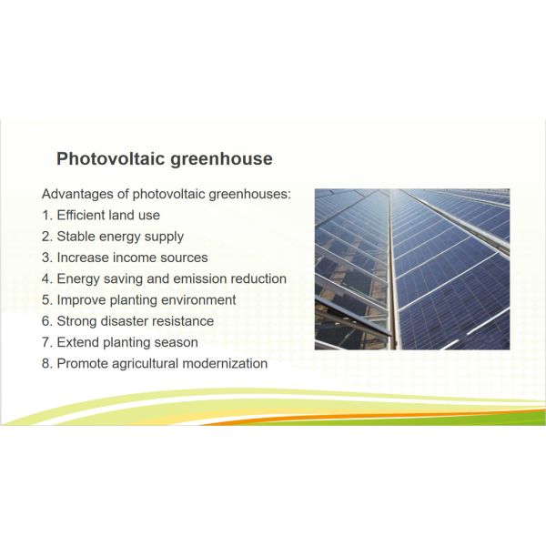 5.5-7.5m Height Photovoltaic Greenhouse With Solar Panel Roof