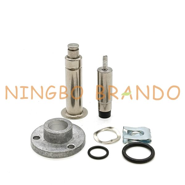 Комплект для ремонта диафрагмы ударной волны TPE K2546 для клапана RCAC25T4 ИМПа ульс Goyen, DD4, FS4