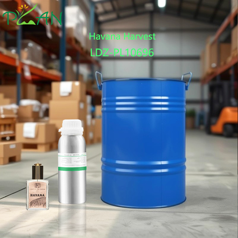 Flavour & Fragrance Manufacturer Havana Harvest Fragrance Oil For Body Perfume Making / Production With Free Sample