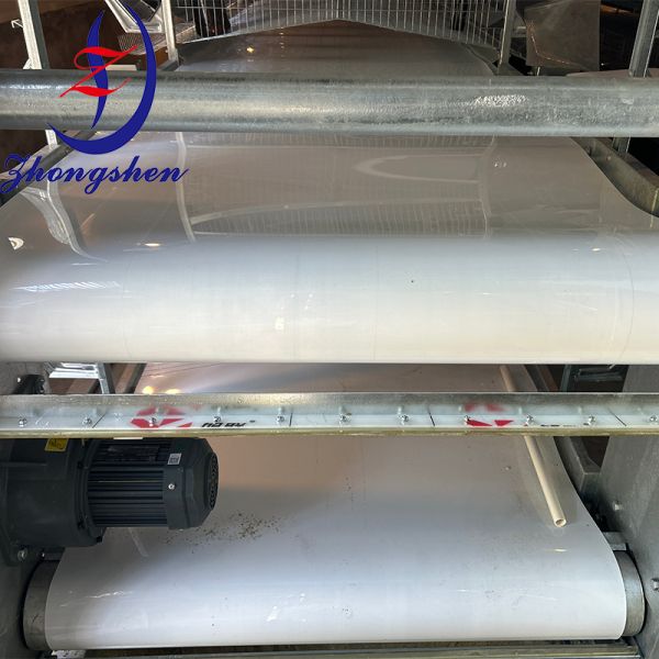 Fabricante de origen: Zhongshen, Cinta de limpieza de estiércol de aves, Cinta de eliminación de estiércol