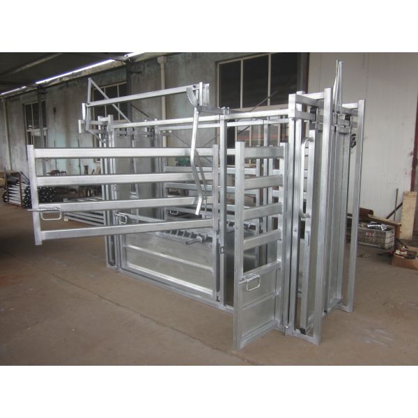 Heavy Duty Cattle Farm Equipment Livestock Cattle Weighing Scales Q235 Steel