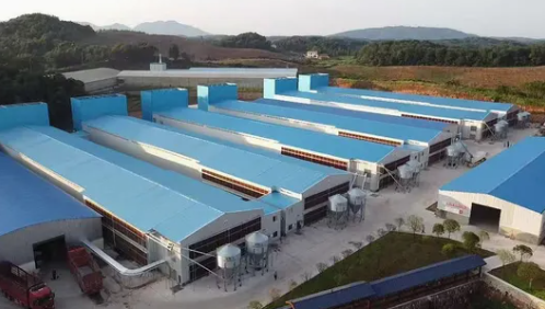 Hot-Dip Galvanized Prefabricated Chicken House with Customizable Dimensions for Fast Installation