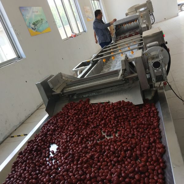 Red Date Food DW / DWC Belt Continuous Dryer Large Output