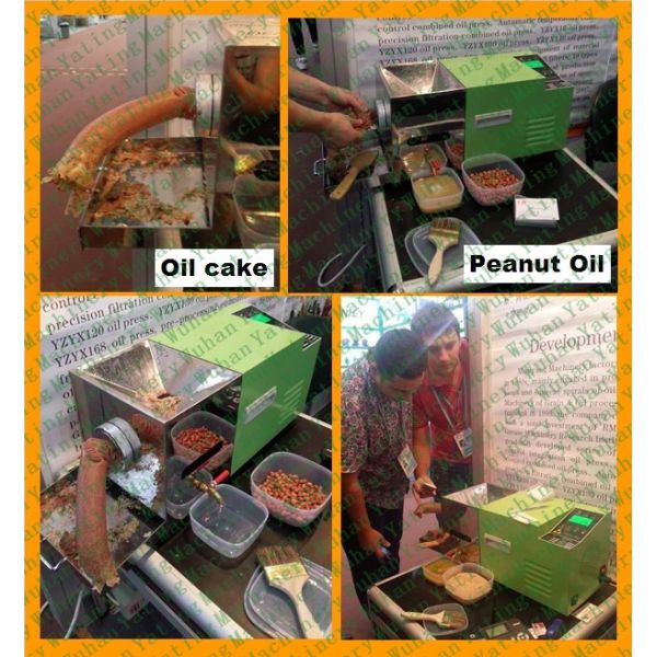 Арахис 200kg домочадца согласно с масло Presser машины прессы масла винта дня