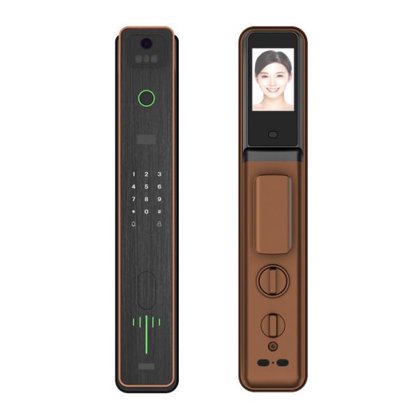 3D Face Recognition Smart Camera Door Lock Biometric With Tuya App
