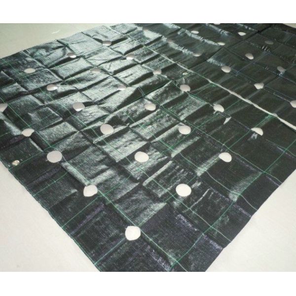 PP Black - Green Biodegradable Landscape Fabric For Stop Grass Growing
