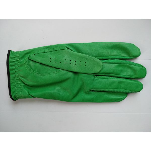 golf glove , golf gloves , glove , gloves