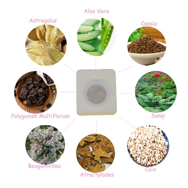 Detox Belly Slim Patch For Women Free Shipping Promotes Metabolism Fat Burning Shaping Waist Abdomen Buttock White OEM ODM