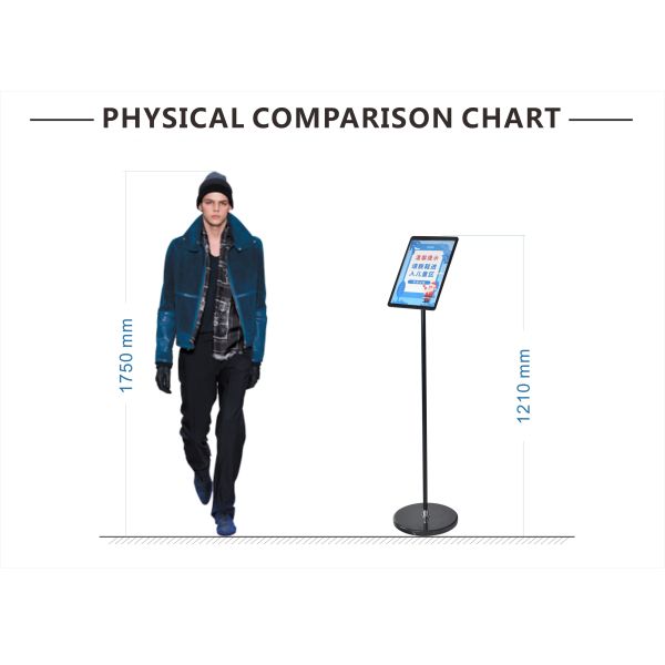 5.2kg Adjustable Sign Stand 1210x280mm Stainless Steel Pipe