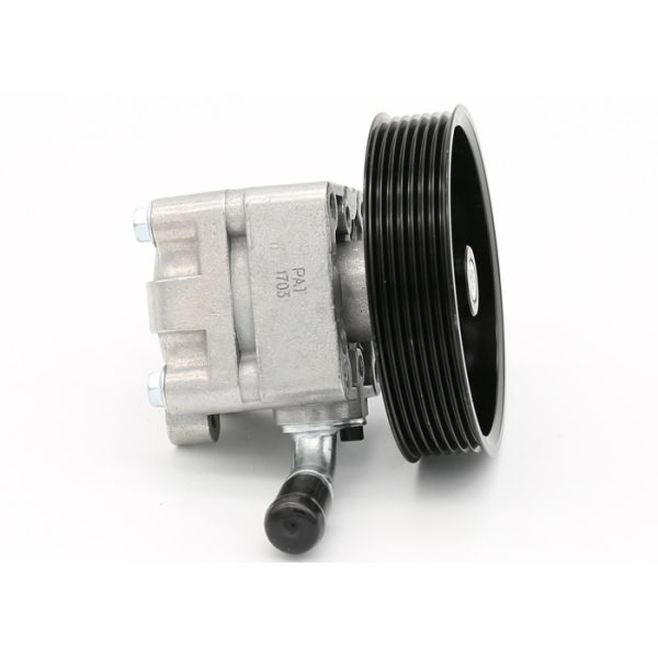 49110- JN10B Electric Power Steering Pump , Nissan Power Steering Pump For Nissan Teana