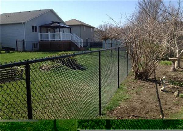 Metal Frame Material Wire Mesh Garden Farm Fence Chain Link Fence