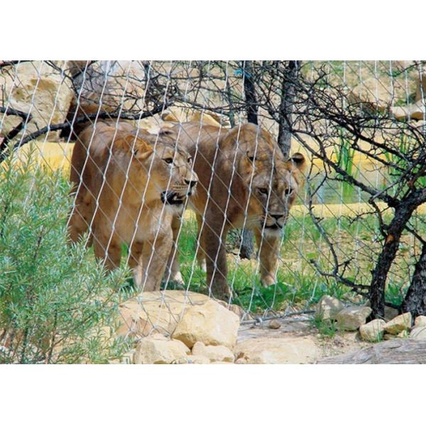 Stainless Steel 316 Hand Woven Rope Metal Fence Protective Mesh For Tiger/Lion