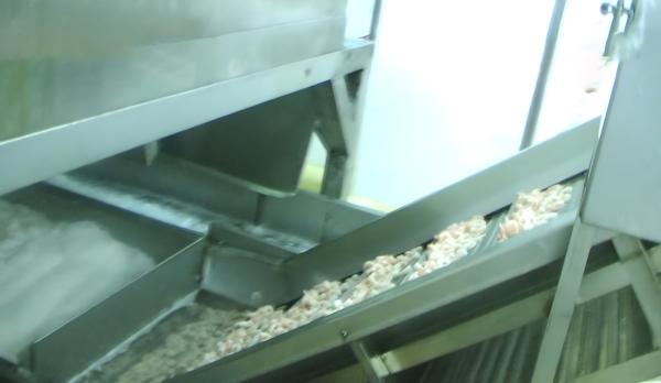 Shrimp Cooling High Pressure Cleaning Lifting Machine Shrimp Cooling Machine Cooked Shrimp Quick Cooler