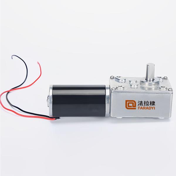 Faradyi High Torque Wpo Long Shaft 12V 24V Electric Brushless Bldc Carbon Mini Dc Worm Reducer Gear Stepper Motor With Gearbox