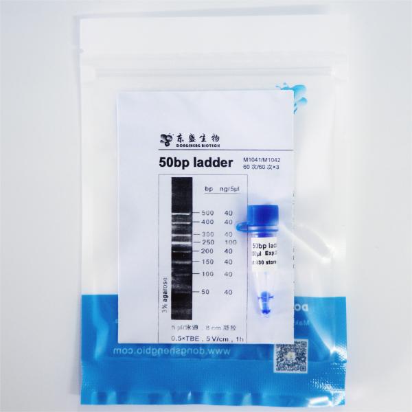 50bp 50ug DNA Marker Electrophoresis High Purity Reagents